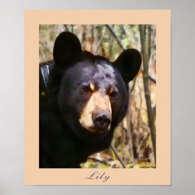 Poster Lily, une ours noire américaine (Devant)