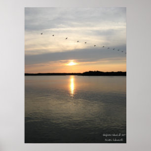 Poster Limite de Daufuskie