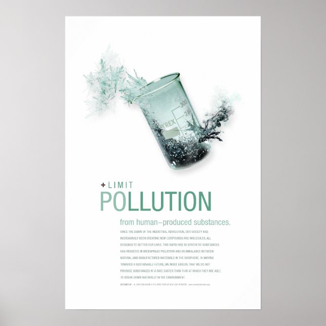 Poster Limiter la pollution : principes de durabilité Aff (Devant)