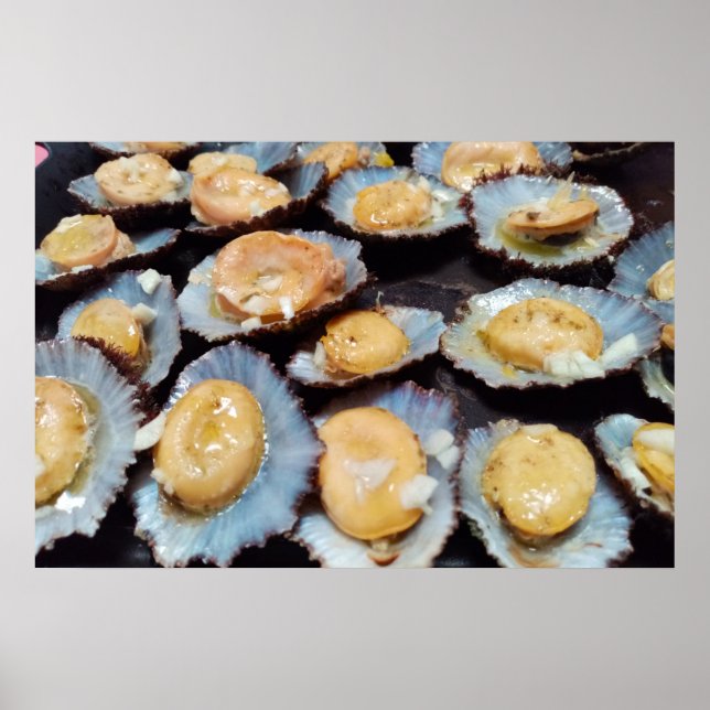Poster Limpets "lapas" des Açores (Devant)