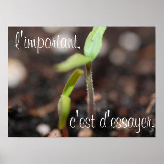 Poster L'important est d'essayer l'affiche motivationnell