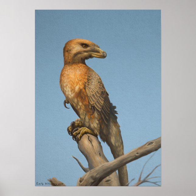 Poster L'impression Noble Savage (Devant)