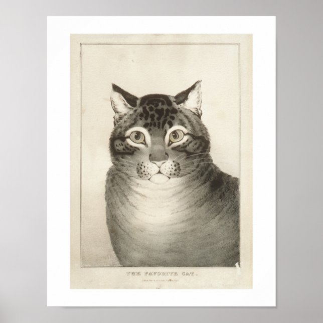Poster L'impression Vintage Favorite Chat (Devant)