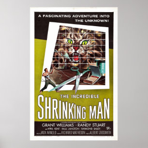 Poster L'incroyable rétrécissant homme