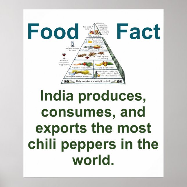 Poster L'Inde Produit Des Consommations Et Des Exportatio (Devant)