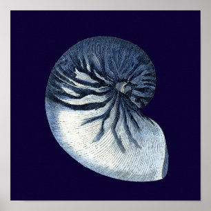 Poster L'indigo écosse VII