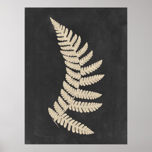 Poster Linen Fern (Devant)