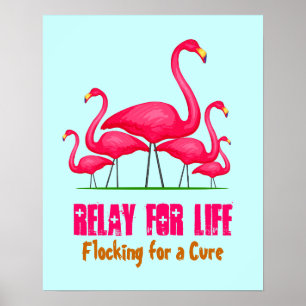 Poster Lingo Flamant rose rose