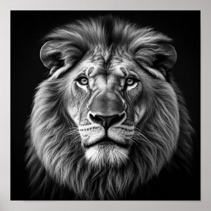 Poster Lion
