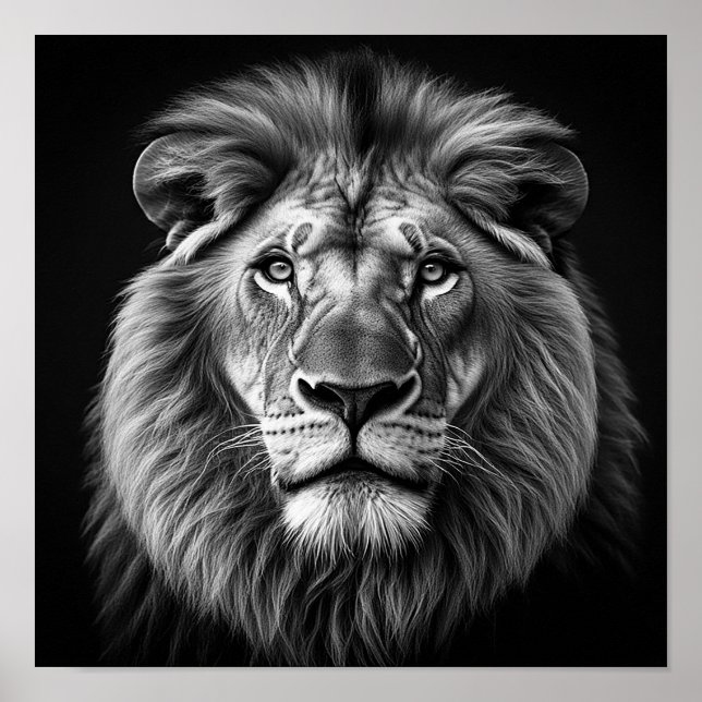Poster Lion (Devant)