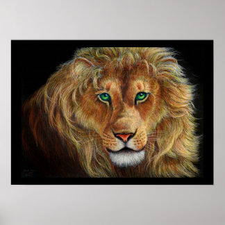 Poster Lion