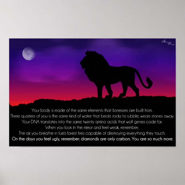 Poster Lion (Devant)