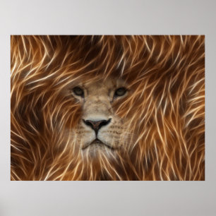 Poster Lion Avec Poches De Cheveux Longues
