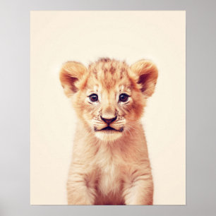 Poster Lion bébé