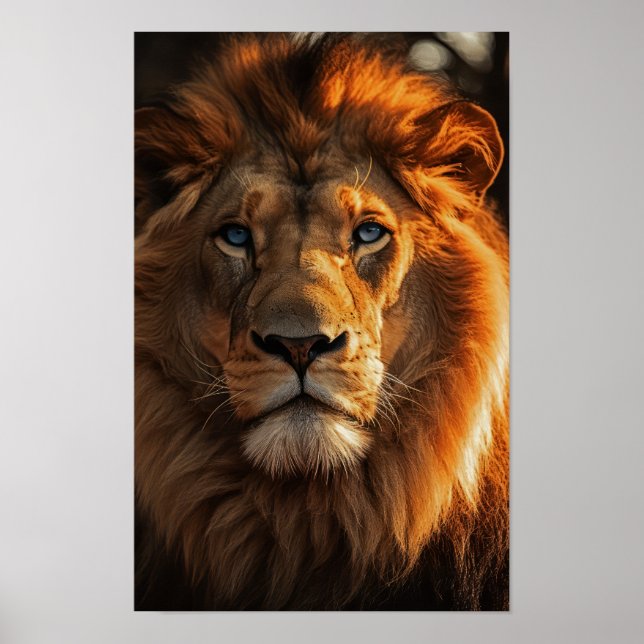 Poster Lion bleu (Devant)