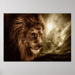 Poster Lion contre ciel orageux