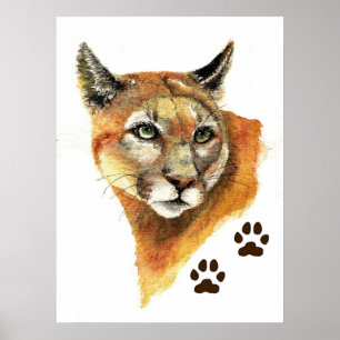 Poster Lion Cougar Mountain Imprimer