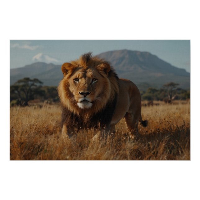 Poster Lion d'Afrique et Kilimandjaro (Devant)