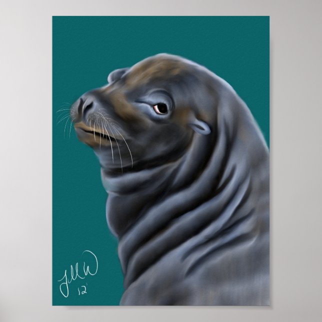 Poster Lion de mer mâle (Devant)