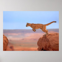 Lion de montagne