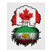 Lion et Soleil aux Racines Iraniennes Cultivé au C