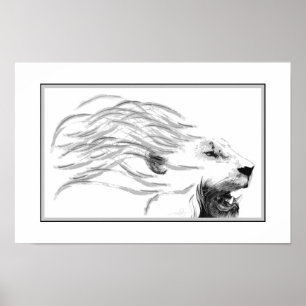 Poster Lion   Le Roi des Grands Chats