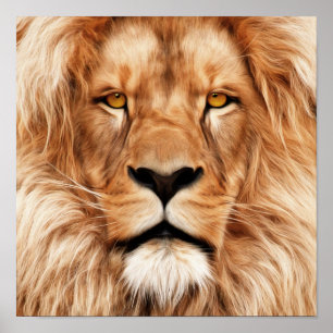 Poster Lion Le Roi Photo Peinture