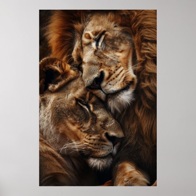 Poster Lion majestueux et lionne se mêlant Photoréalisme  (Devant)