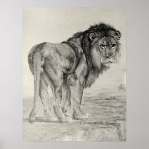 Poster Lion majestueux vintage
