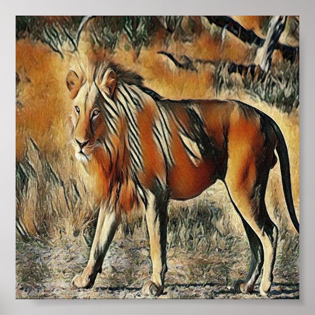 Poster Lion marchant dans les buissons (Devant)