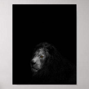Poster Lion, photo en noir et blanc,