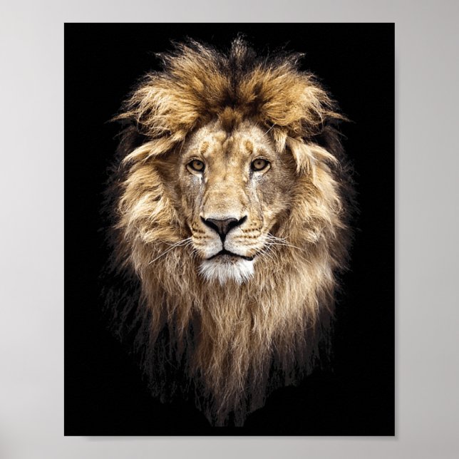 Poster Lion Principal Animal Face Big Cat (Devant)