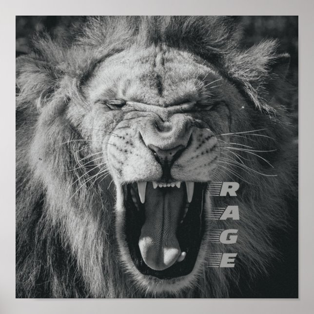 Poster Lion Rage noir et blanc Rocher (Devant)