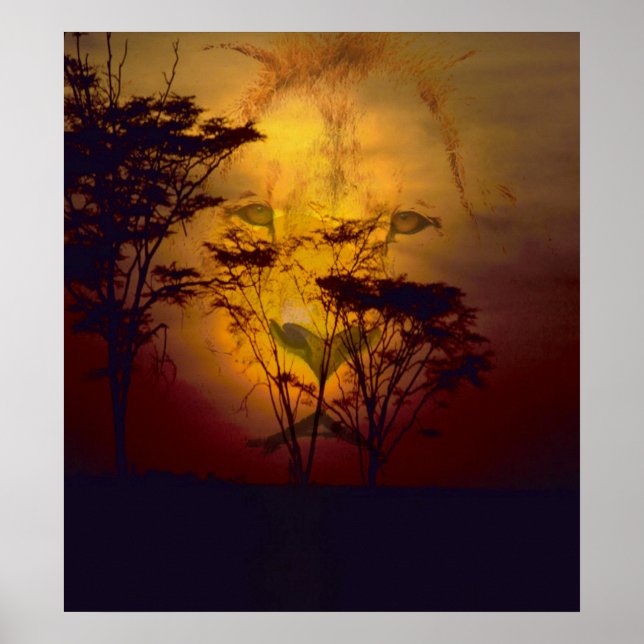 Poster Lion regardant le coucher de soleil africain (Devant)