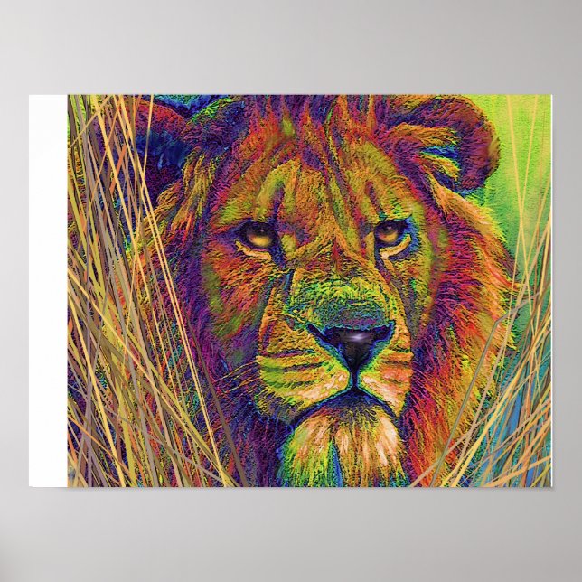 Poster lion royal (Devant)
