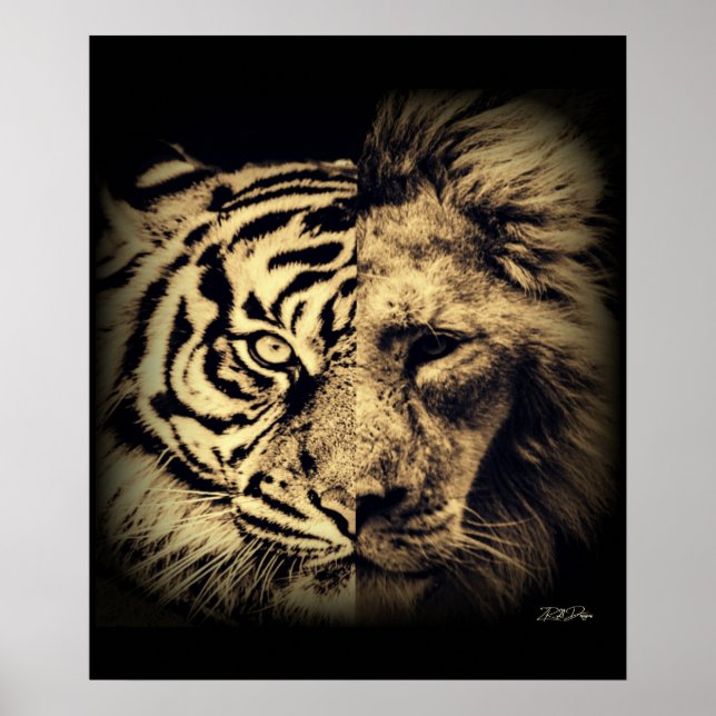 Poster Lion Tiger 2in1 (Devant)
