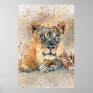 Poster Lioness Face Aquarelle Jungle Animal