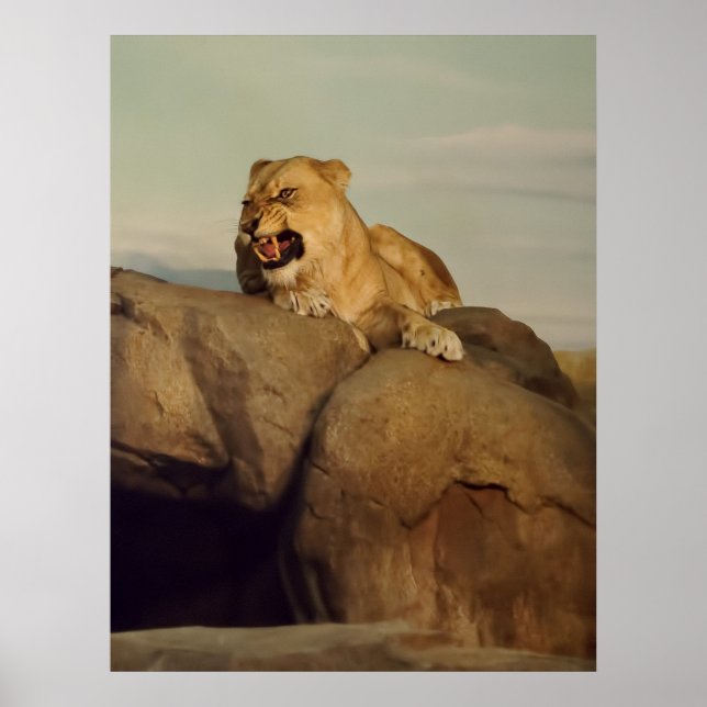 Poster Lioness show (Devant)