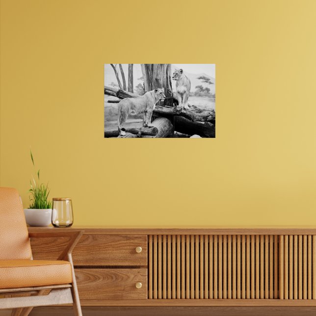 Poster Lioness Wildlife Black & White Photography Art (Salon 2)