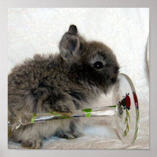 Poster Lionhead Bunny and Wineglass