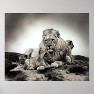 Poster Lions