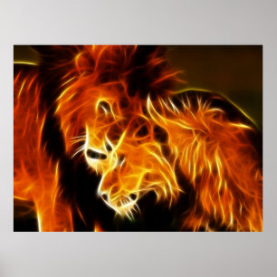 Poster Lions amoureux