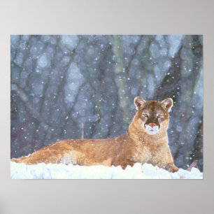 POSTER LIONS DE MONTAGNE