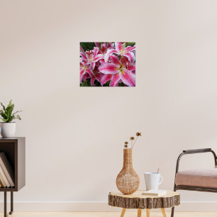 Poster Lis orientaux roses Photographie florale