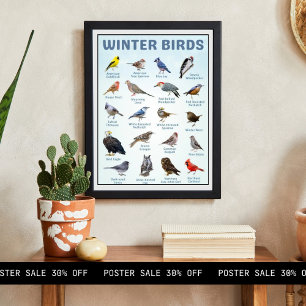 Poster liste des oiseaux d'hiver des États-Unis