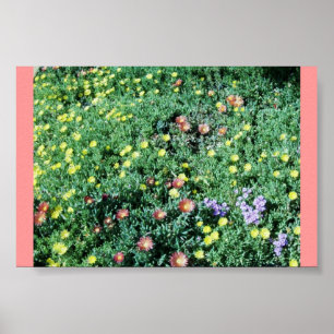 Poster Lit Succulent