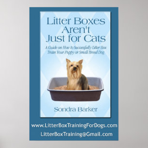 Poster Litter Boxes Arent Just For cats
