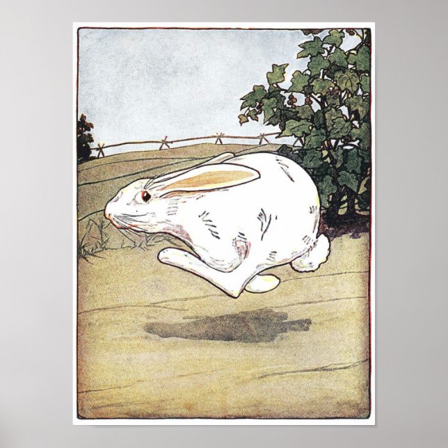 Poster Little Critters Illustration du livre pour enfants (Devant)