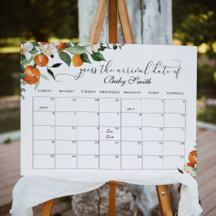 Poster Little cutie Guess the due Date calendar