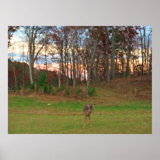 Poster Little Deer et un SunSet rose (Devant)